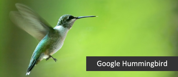 Google Hummingbird