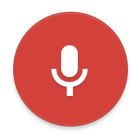 Google Ricerca Vocale