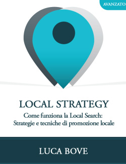 Libro Local Strategy come funziona la Local Search (Luca Bove)